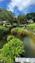 Pandan Valley (D21), Condominium #462158331